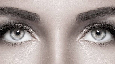 Lashes, Brows, Tint, Lift & Lamination